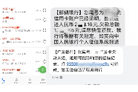 苍南苍南的要账公司在催收过程中的策略和技巧有哪些？